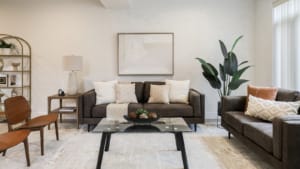 bold accent wall home staging
