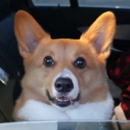 Screenshot 2026-02-19 at 10.01.30 PM